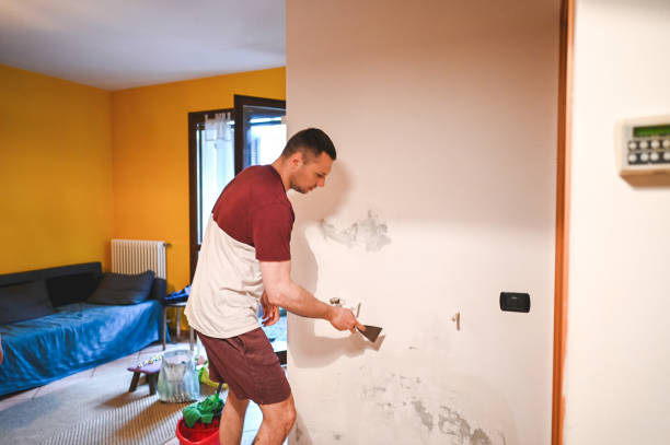 Best Residential Mold Removal  in Malta, MT
